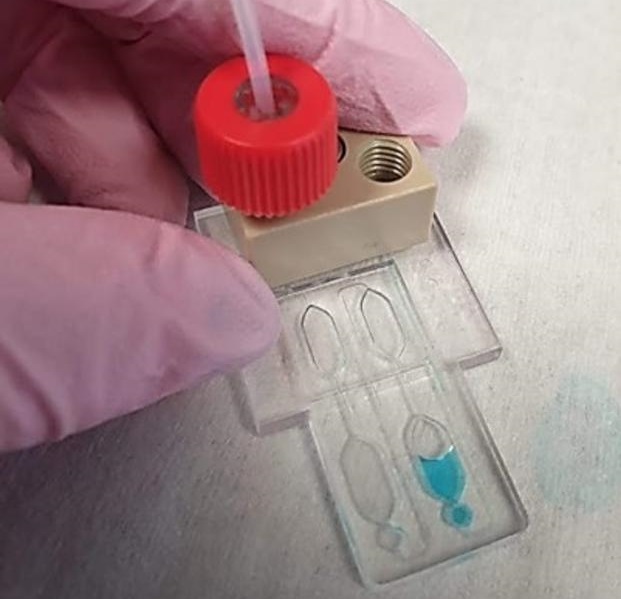 Image: Microfluidic testing in the lab (Photo courtesy of Heriot-Watt University